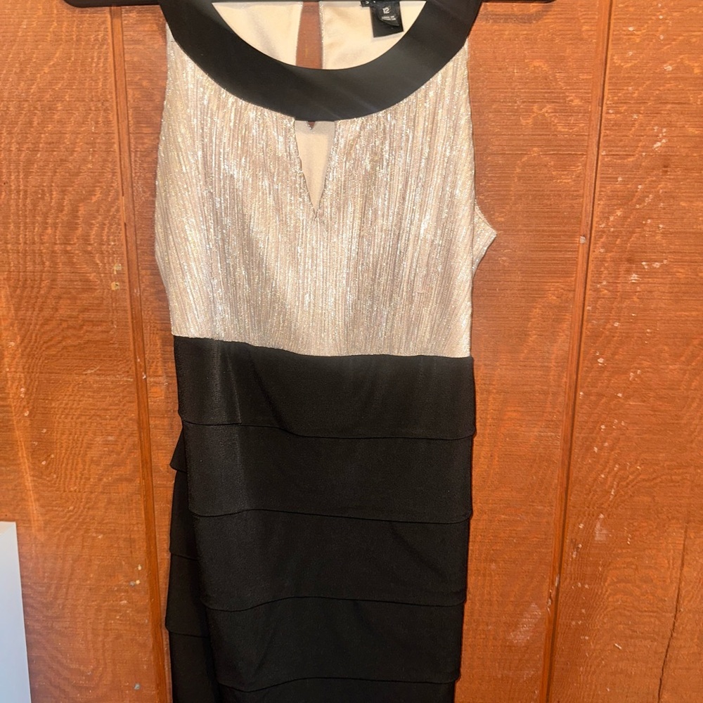 Elegant Black and Silver Dress